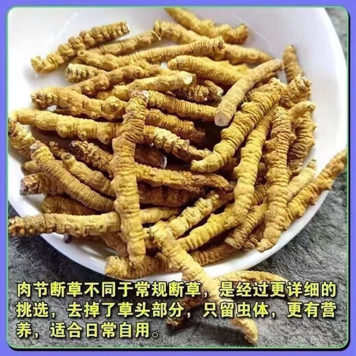Peking Tongrentang Authentische Cordyceps sinensis gebrochener Cordyceps Groß gebrochener Cordyceps tibetische Auswahl Eintopftopf 5g