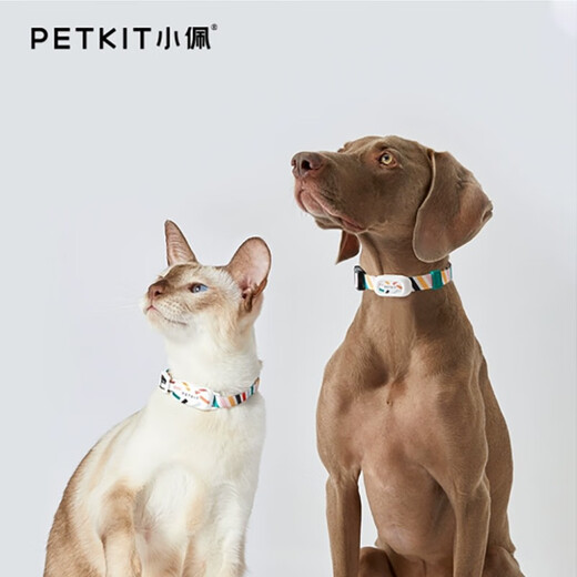 PETKIT Pet Smart Cat Tag Dog Tag Intelligent Motion Detection Wearable Device Bluetooth Collar Dog Tag-M
