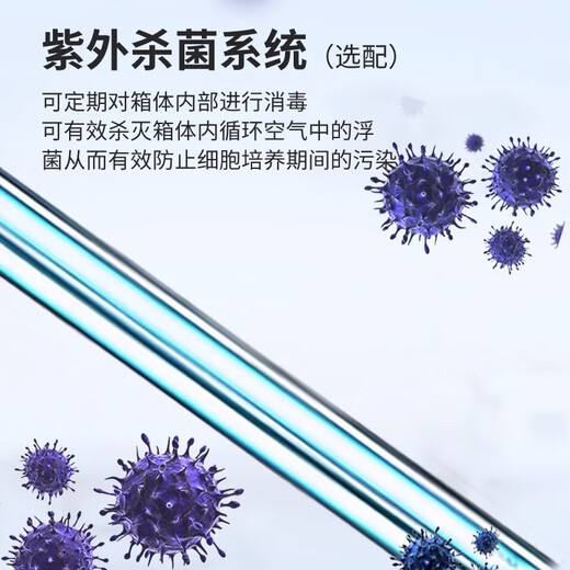Un chauffage électrique constant et un incubateur à température constante DHP / BPH série de précision de précision bactéries graines de graines de graine de graine du laboratoire DHP-9272