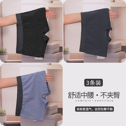 Ran Yilans neue Pure Cotton Damen-Unterwäsche-Unterwäsche Sportwäsches Boxerhosen Streifen Trendy und personalisierte Mädchen Boxer-Boxer-Shorts 3 Streifen D6197 Schwarz + dunkelgrau + hellgrauer Anzug Durchschnittlich Größe M Gewicht 80-100 Jin [Jin gleich 0,5 kg]