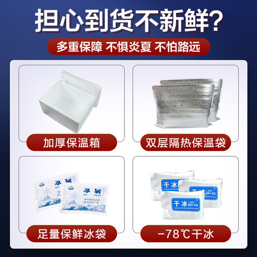 Dongshang Royal Shrimp Qingdao Prawn Base Shrimp Fresh Live Prawn White Prawn Sea Prawn Prawn Ice Prawn Frozen Shrimp Fresh Shrimp Seafood 3Jin Jin is equal to 0.5 kg (net weight) Air-frozen prawn Live shrimp quick-frozen 15-18cm Single extra large shrimp