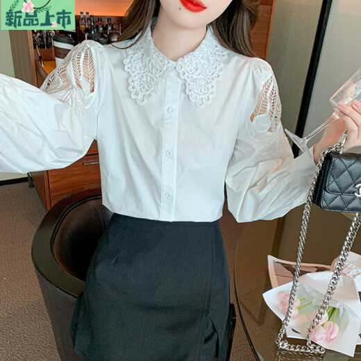 艾妃琳刺绣纯棉衬衫女2025年秋装新款时尚绣花白色衬衣宽松百搭长袖上衣 CY9227 白色 S 【建议75-95斤】