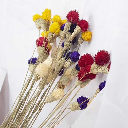 Dried flower bouquet, plant dried flowers, real flowers, immortal flowers, forget-me-not dried flowers, multi-color strawberry fruits, dried flowers, office living room coffee table, dining table display, decorative art flower arrangement, small bouquet, 12 red strawberry fruits (not including vase)