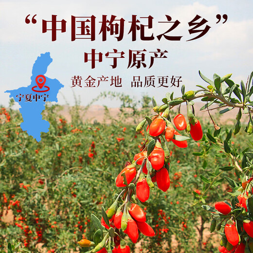 Tongrentang Special-grade Red Wolfberry Big Fruit Authentic Ningxia Zhongning Free Sulphur-free Wolfberry Health Tea Canned 200g
