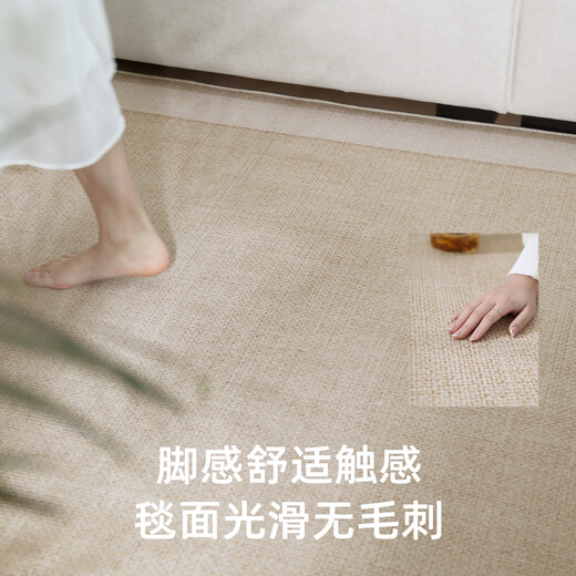 客厅地毯2024新款夏季轻奢高级感冰丝凉席榻榻米地垫房间免洗可擦 宜沐-15780 200*300cm【热销推荐款】✅
