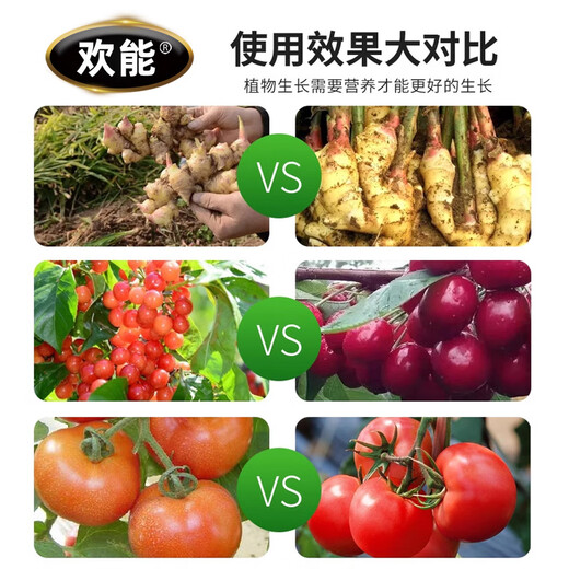 Huaneng granules boron trace element citrus fruit tree wheat vegetable base fertilizer granules slow-release boron fertilizer general fertilizer 1000g