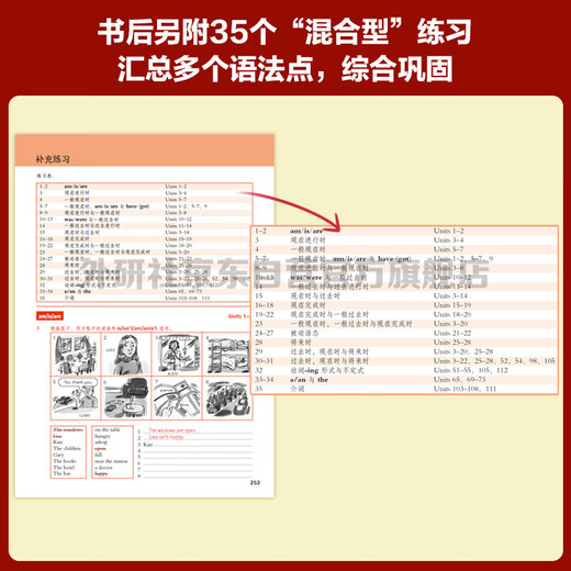 剑桥初级英语语法（剑桥“英语在用”English in Use丛书 第三版中文版）