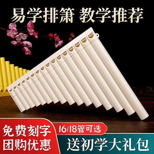 韩琴侠排箫乐器初学者排箫16管18管排笛C调学生老师送教学 【刻字】16管米白色+全套配件