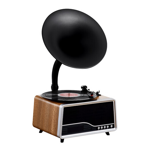 Duhuanshi Vinyl Record Player Professional HiFi Retro Phonograph Film Player Bluetooth Speaker Living Room Audio Matte Oak Color Free Genuine Vinyl Record + Music U Disk