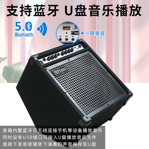 Coolmusic Coolle DK35S Electronic Drum Special Drum Speaker Electronic Organ Singing Practice Performance Audio Keyboard Piano DK35S + Wired Microphone + Audio Cable