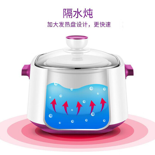 SUPOR electric stew pot water-proof stew pot 2.2L large capacity intelligent reservation multi-functional bird's nest soup making machine household electric casserole electric stew pot DZ22YC818 2.2L