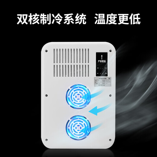 Chaoguo car refrigerator 20L mini refrigerator dormitory cosmetics refrigerated refrigerator car home dual-purpose breast milk cooling and heating box