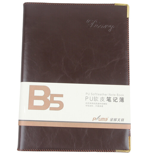 道林（DAOLEN） 金辉JH-12162笔记本 A4记事本 金辉PU软皮笔记薄 160页 记事薄 B5 (JH-16162)