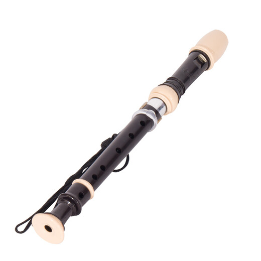 奇美 竖笛8孔高音德式c调儿童中小学生教学6孔竖笛巴洛克笛子吹奏乐器 黑色小伙伴6孔