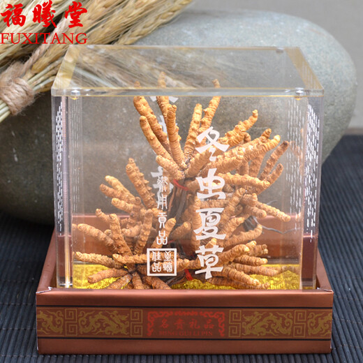 福曦堂 西藏高海拔 那曲冬虫夏草 那曲虫草  西藏冬虫夏草 西藏虫草3根/克 内装15克那曲冬虫夏草