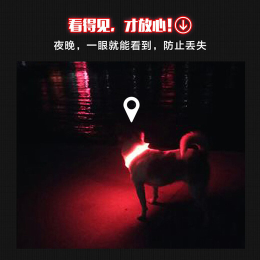 Chukchi (CHUKCHI) pet dog collar luminous USB rechargeable LED electronic collar dog luminous collar medium collar anti-lost device colorful flowing water S size circumference about 38CM