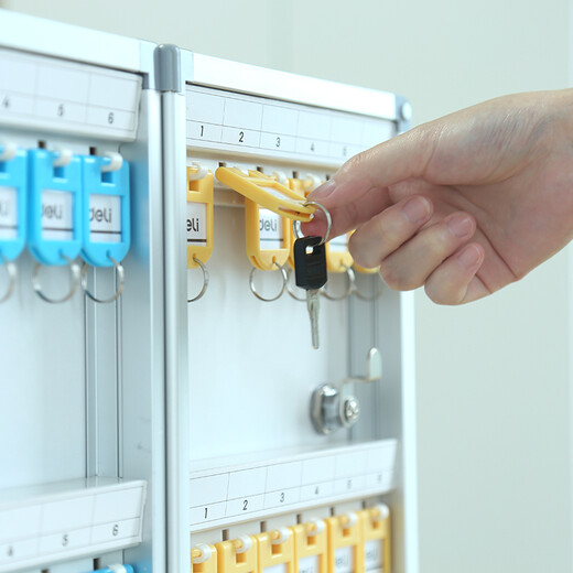 Deli 24-position aluminum alloy key management box, lock key organization safe box storage cabinet/key box/emergency key cabinet wall-mounted/key card with keys Silver
