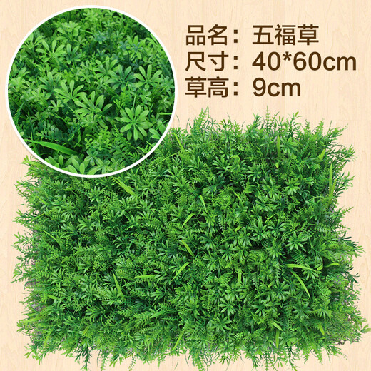 Dou Tu Gardening green plant wall simulated plant turf wall decoration indoor background flower wall green wall hanging plastic fake lawn door head Wufucao