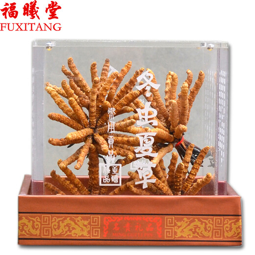 福曦堂 西藏高海拔 那曲冬虫夏草 那曲虫草  西藏冬虫夏草 西藏虫草3根/克 内装15克那曲冬虫夏草