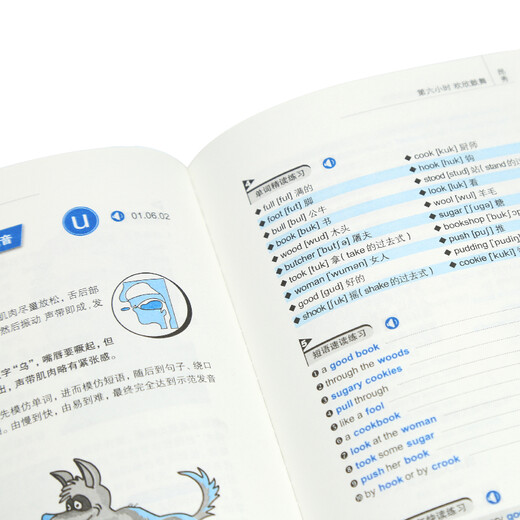 Zero-Based English Learning, English Introduction Illustrations + 21 Days of Grammar + 9 Hours of Phonetic Symbols + 15,000 English Words (Set of 4 volumes, scan the QR code to receive free audio) - Angxiu Foreign Language