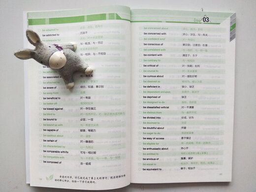 新东方 20天突破考研英语核心短语 张天乾 英语一英语二通用 考研英语历年真题短语 考研词汇英语一二适用可搭英语黄皮书恋练有词恋词