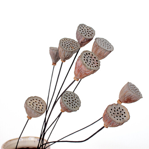 Youyi dried flowers extra large plump metal flower pole with seeds dried lotus lotus dried flowers decoration living room floor small lotus 3 pieces price