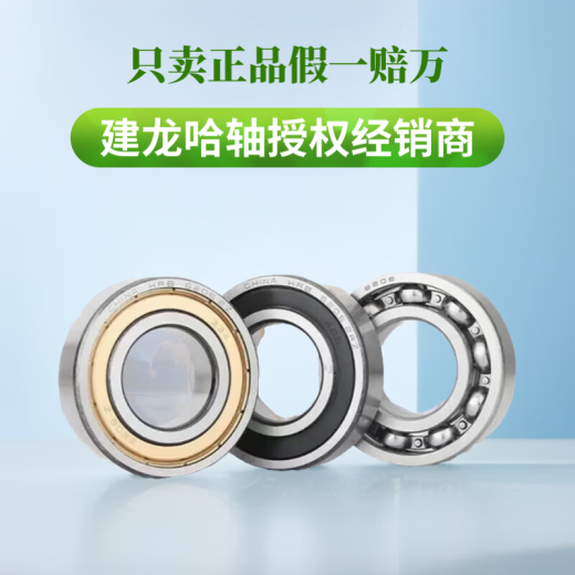 HRB哈尔滨深沟球轴承6206 6207 6208 6209 6210 6211 2Z -2RZ 6206-2RZ胶盖 其他