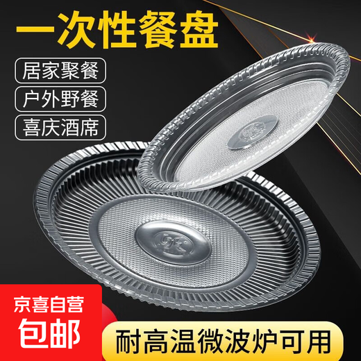 Disposable plates, dishes, dishes, food-grade high temperature resistant barbecue plastic discs for home users and outings, 10 pcs, 9 inches
