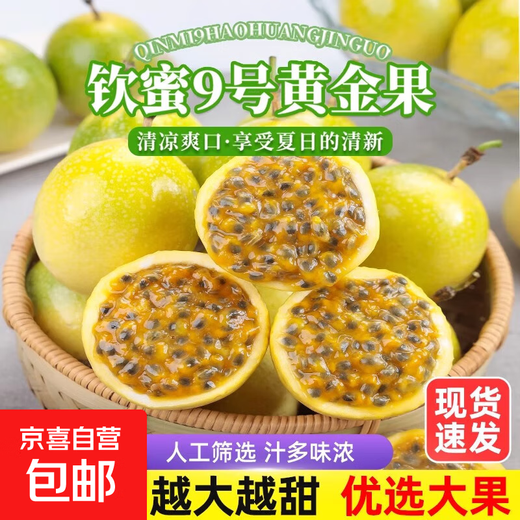 Guangxi Qinmi No. 9 Golden Passion Fruit Wancheng Seasonal Fresh Large Fruit Huangpiguo Milk Tea Shop Fruit 1 Jin Jin is equal to 0.5 kg, about 11-17 pieces, single fruit 30-45g