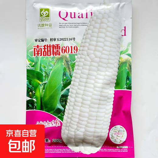 National Approval Corn Seed Sweet Waxy Corn Seed Hybrid Corn White Corn National Approval Corn Seed Nan Tiannuo 6019 Corn Seed 200g