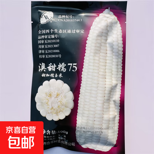 白甜糯玉米种子高产四季播白糯玉米非转国审农家超甜加糯玉米种子 澳甜糯75玉米种子原装100克