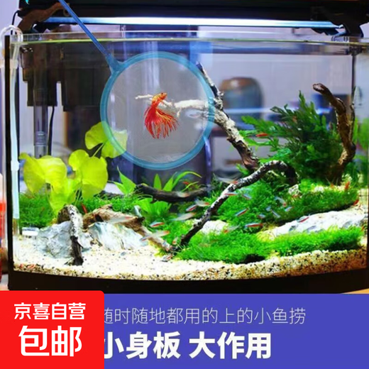 Fish tank fishing net, fish and shrimp fishing, dense net, handmade net, household retractable fishing net, fishing net, parent-child family toys, 1 each for large, medium and small, 3 in total