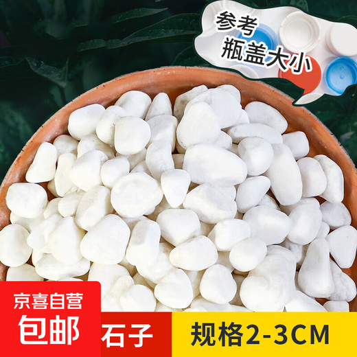 Shengjing plant materials white pebbles courtyard landscape paving natural pebbles fish tank bottom potted plant paving white pebbles white pebbles 2-3cm 9-10Jin Jin equals 0.5 kg