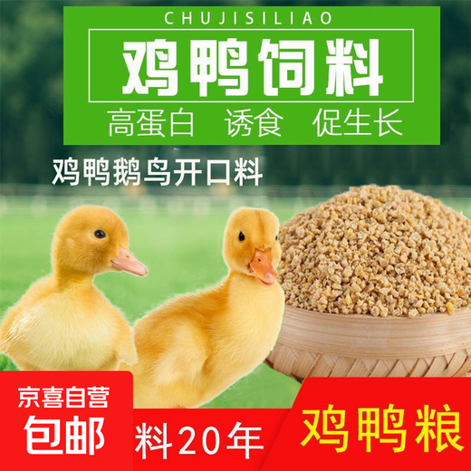 Chick feed high protein nutritional material medium large chicken egg cub feed wholesale feed manufacturer direct sales duck and goose general broken small particles 5Jin Jin is equal to 0.5 kg