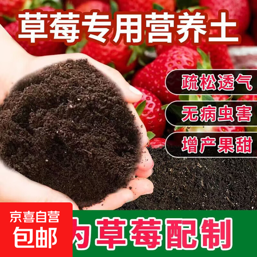 Strawberry special nutrient soil strawberry organic fertilizer special soil strawberry seedlings potted balcony planting soil strawberry special nutrient soil 10Jin Jin is equal to 0.5 kg