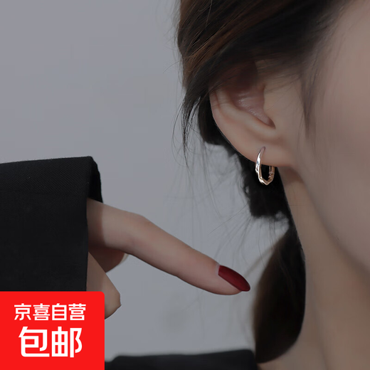 Ubis Ring Plain Hoop Earrings Women's Simple Cold Style Personalized Earrings Earrings 2024 New Earrings Silver Pair