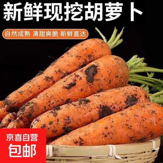 Fresh pureed carrots, fresh vegetables, farm fruits, radishes, seasonal fresh vegetables, sweet potatoes, breakfast nutrition, carrots 1 Jin Jin is equal to 0.5 kg, with box 200g+/box