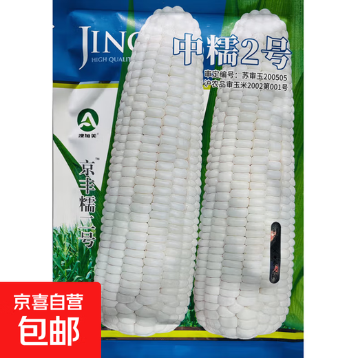 White, sweet and waxy corn seeds, high-yielding, sown in all seasons, white waxy corn, non-transferable, nationally approved, super sweet and waxy corn seeds, Zhongnuo No. 2 corn seeds, original 100g, 1 bag