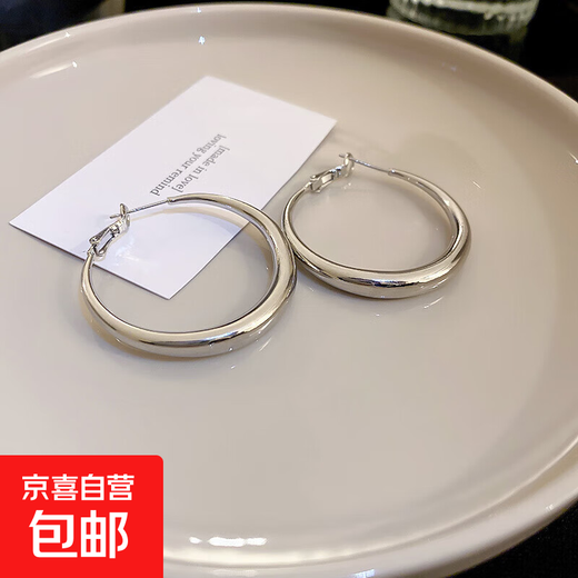 Silver Needle Plain Circle Earrings European and American Simple High-end Earrings Fashion Versatile Niche Design Earrings for Women Wholesale Silver Needle - Silver