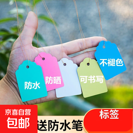 100 pieces of hang tags, plant signs, tree signs, classified color cards, plastic, waterproof, light-fast, non-fading P 2.5*3.6cm green, 100 pieces