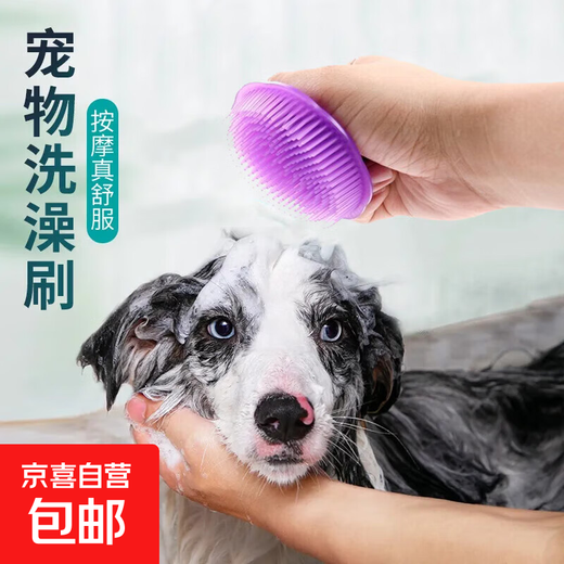Pet dog bathing brush, puppy Bichon bathing comb, massage brush, cat bathing artifact, random color, 1 pack, exclusive for new customers
