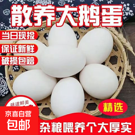 Authentic local goose eggs, fresh farm-raised goose eggs, large goose eggs, nourishing breakfast for pregnant women and babies, fresh JD.com 12 pieces, 100-120g, very cost-effective to eat by yourself Authentic local goose eggs, fresh farm-raised goose eggs, large goose eggs, nourishing breakfast for pregnant women and babies, fresh JD.com 12 pieces, 100-120g, very cost-effective to eat by yourself