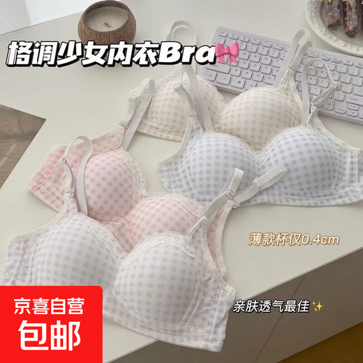 Underwear for female students, Korean version of girl's bra without rims, small breasts gathering, anti-sagging, secondary breasts, sexy pure desire tube top, light blue + pink XL 38/85