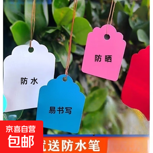 Arbor Day tag, plant tag, hanging tag, sapling, tree adoption tag, children's name information, plastic waterproof tag, 3*4.5cm blue, 100 pieces