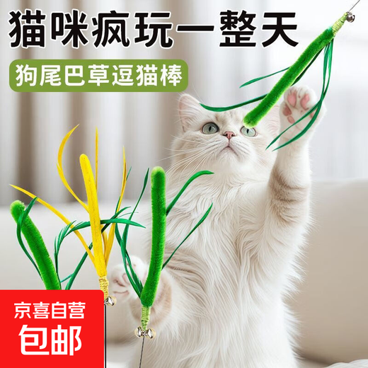 Cat Toy Dog Tail Grass Long Cat Flirting Stick Cat Toy Self-Happiness and Boredom Relief Artifact Kitten Toy Cat Supplies Dog Tail Grass Flirting Cat Stick Green 1 Pack