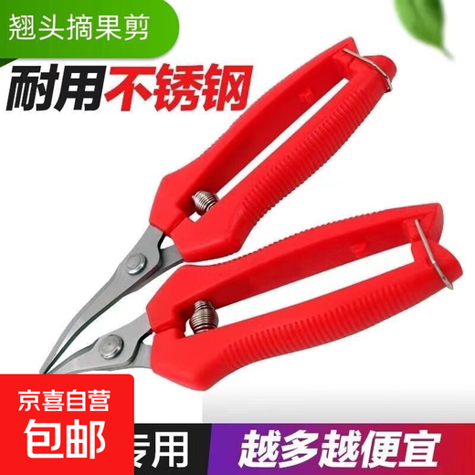 Thickened stainless steel fruit picking scissors elbow scissors for picking tomatoes and citrus scissors gardening pitaya pruning shears Stainless steel pruning scissors - large - 1 piece