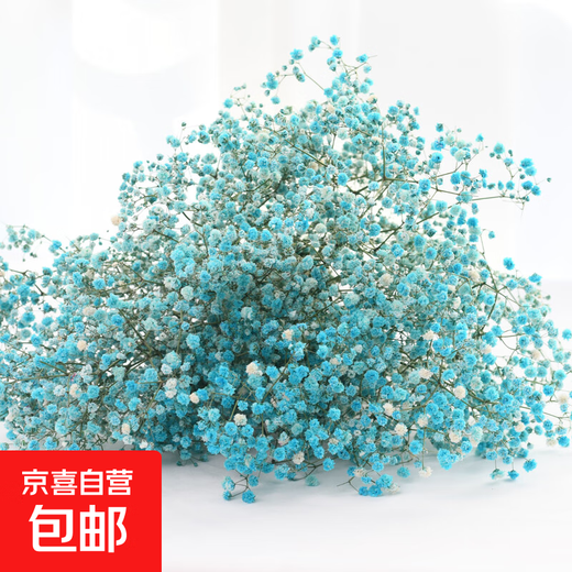 Gypsophila dried flower bouquet preserved flower material light blue