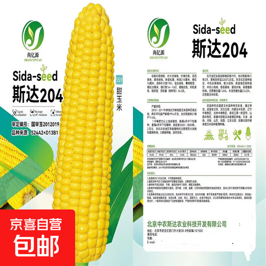 National Approval Fruit Corn Seeds Fresh Sweet and Crisp National Approval Sweet Corn Seeds Farmhouse Garden Vegetables National Approval Fruit Corn Seeds 1 pack of about 50 pieces