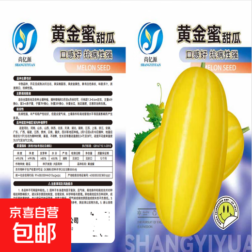 Golden dense melon seeds, melon dense seeds, Golden Road fruits, early maturing, high yield, disease resistance, extra large spring melon fruit seeds, golden dense seeds/pack, about 100 seeds, 1 pack