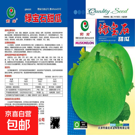 Emerald melon seeds, thin-skinned, super-sweet cantaloupe seeds, spring green-skinned, crispy melons for all seasons, early-maturing, high-yielding cantaloupe seeds, emerald melon seeds/pack, about 100 pieces, 5 packs